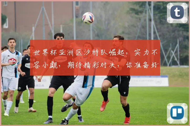 世界杯亚洲区沙特队崛起，实力不容小觑，期待精彩对决，你准备好了吗