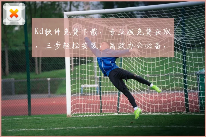 Kd软件免费下载，专业版免费获取，三步轻松安装，高效办公必备，不容错过