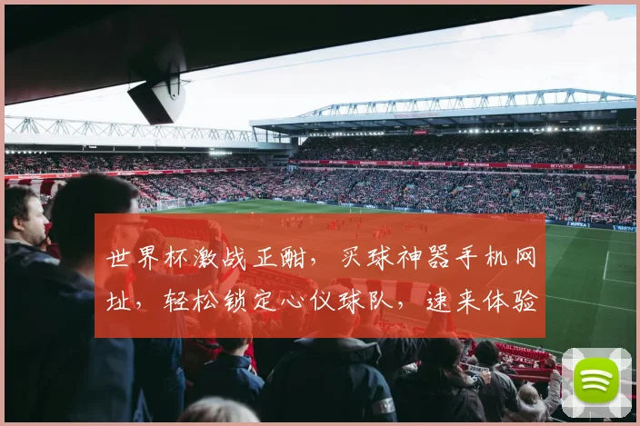 世界杯激战正酣，买球神器手机网址，轻松锁定心仪球队，速来体验