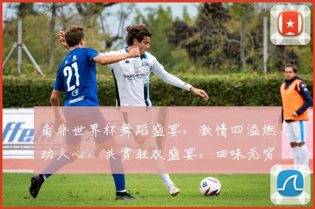 南非世界杯舞蹈盛宴，激情四溢燃动人心，共赏狂欢盛宴，回味无穷