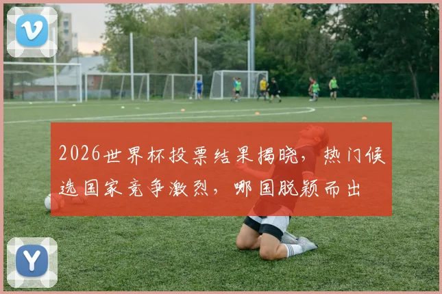 2026世界杯投票结果揭晓，热门候选国家竞争激烈，哪国脱颖而出