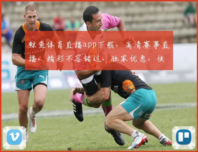 鲸鱼体育直播app下载，高清赛事直播，精彩不容错过，独家优惠，快来体验