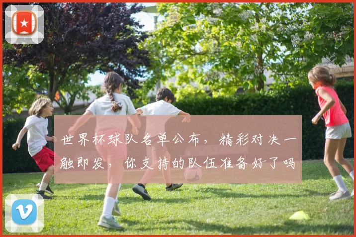 世界杯球队名单公布，精彩对决一触即发，你支持的队伍准备好了吗