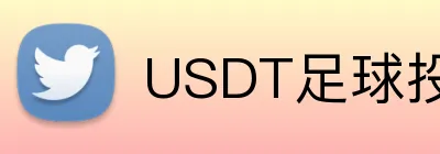 USDT足球投注高返水 Logo